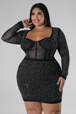 Luxe Plus Size Dress