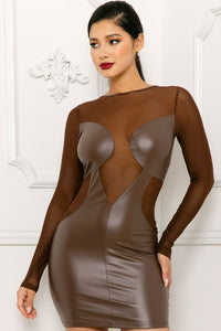 Metallic Mesh Dress