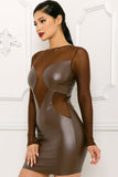 Metallic Mesh Dress